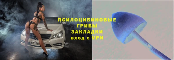 прущая мука Богданович
