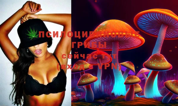 прущая мука Богданович