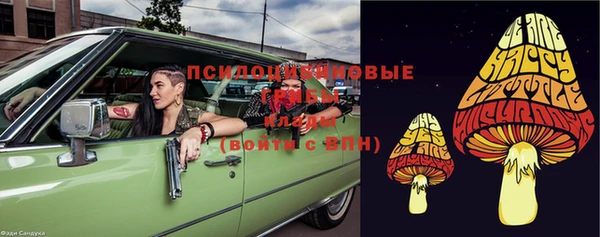 прущая мука Богданович